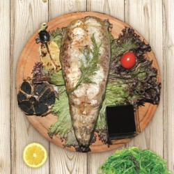 Сом на вугіллі Сом на вугіллі